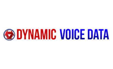 Dynamic voice data